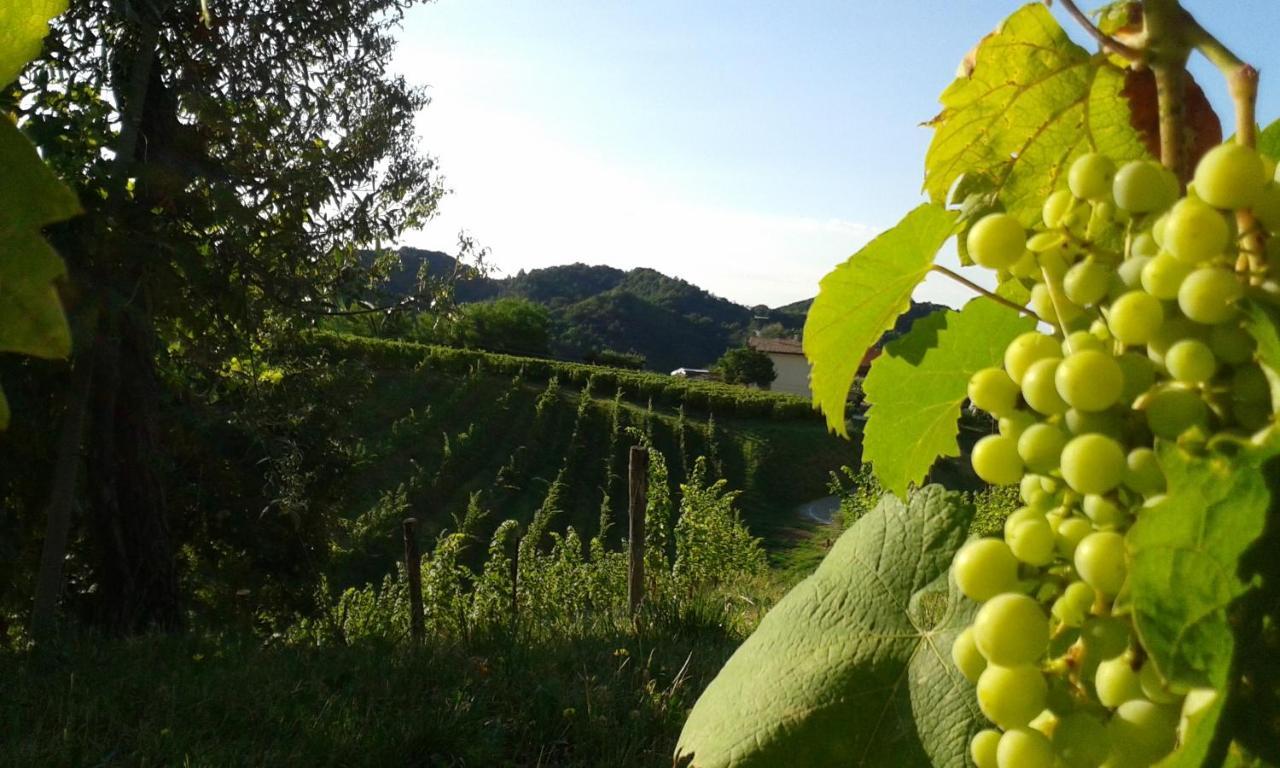 B&B Miro Pieve di Soligo Eksteriør bilde